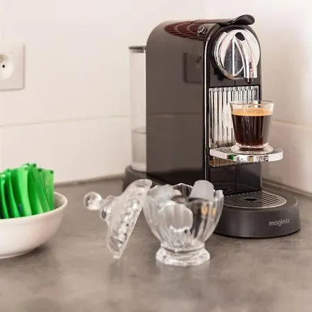 La Vie En Rose*paris*stade De France*disney * بيارفيت-سور-سين